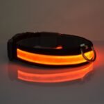 Leuchtendes Halsband für Hunde mit LED