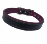 Modisches Hundehalsband in Beerenfarbe