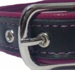 Beeren Hundehalsband mit Schnalle