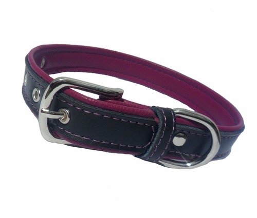 Beerenfarbenes Halsband für Hunde